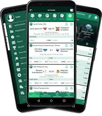 Découvrez Betwinner APK  Votre Guide Complet sur l'Application