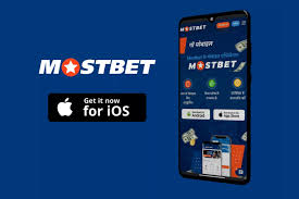 Mostbet Online Casino Testimonial